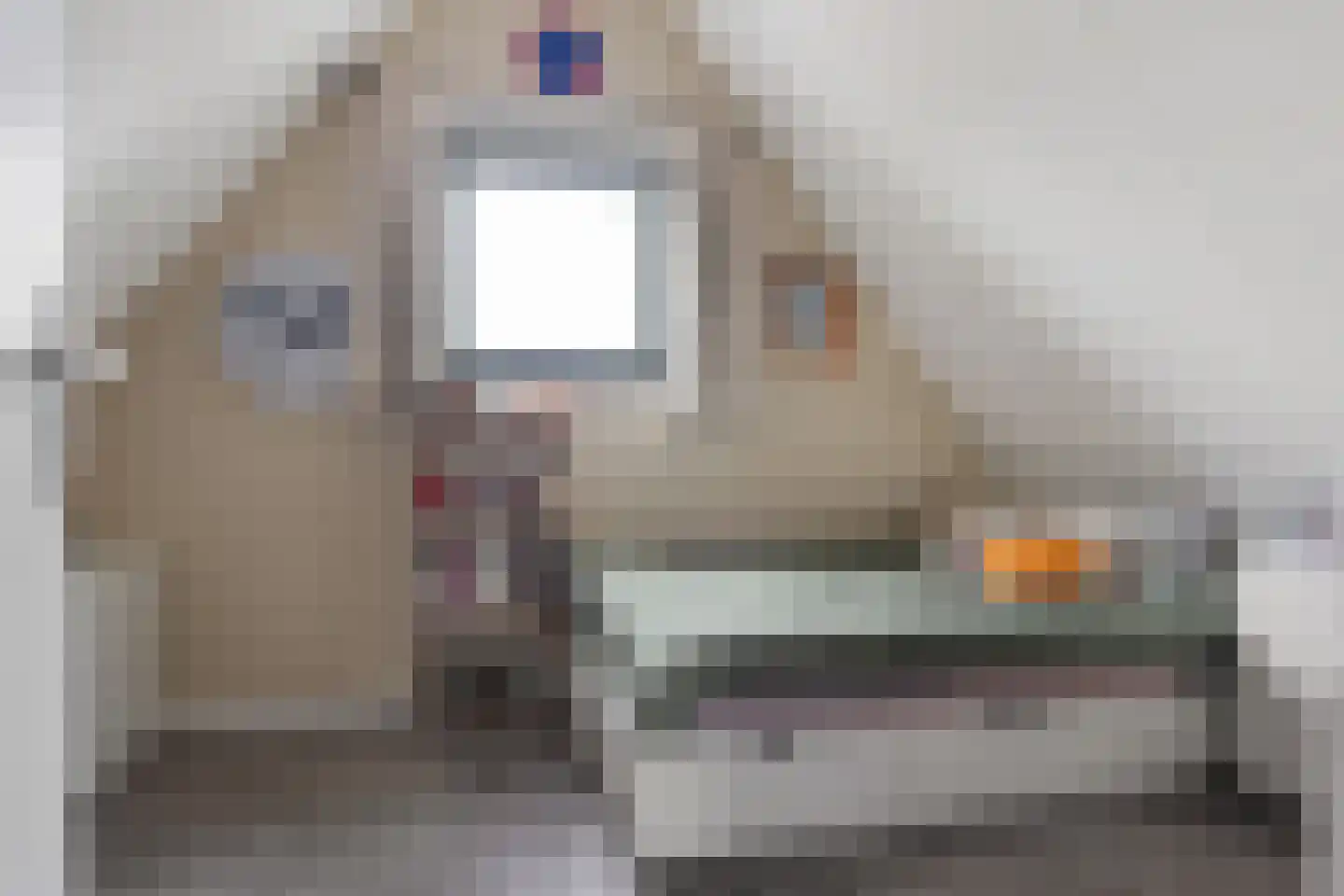 Beemdgras 48 Assendelft thumbnail 37
