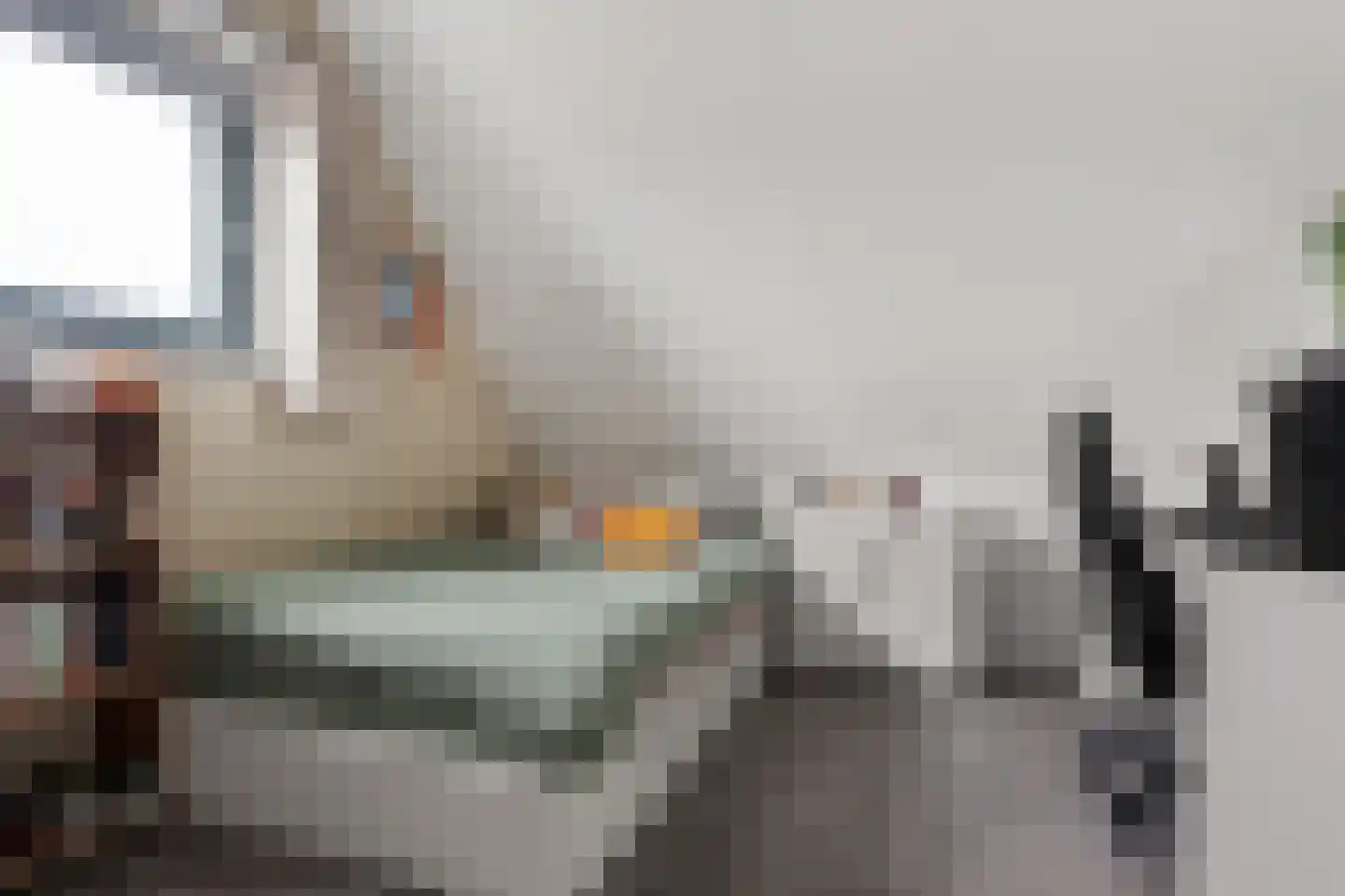 Beemdgras 48 Assendelft thumbnail 38