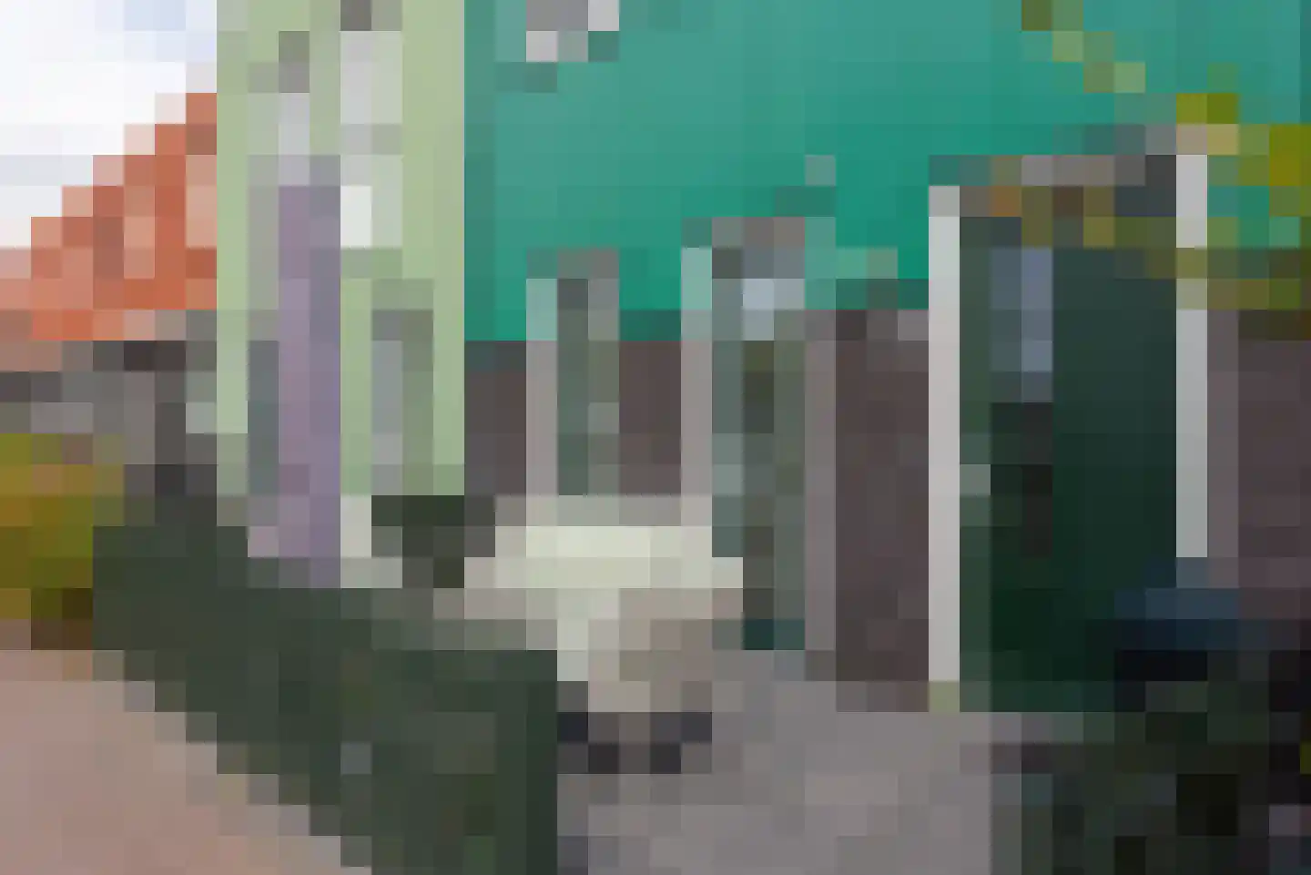Beemdgras 48 Assendelft thumbnail 4