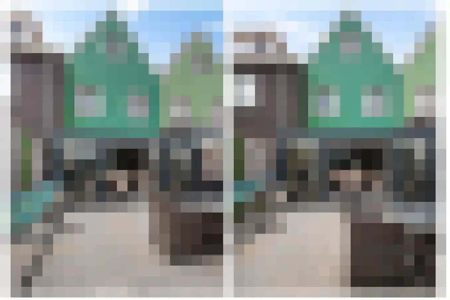 Beemdgras 48 Assendelft thumbnail 42