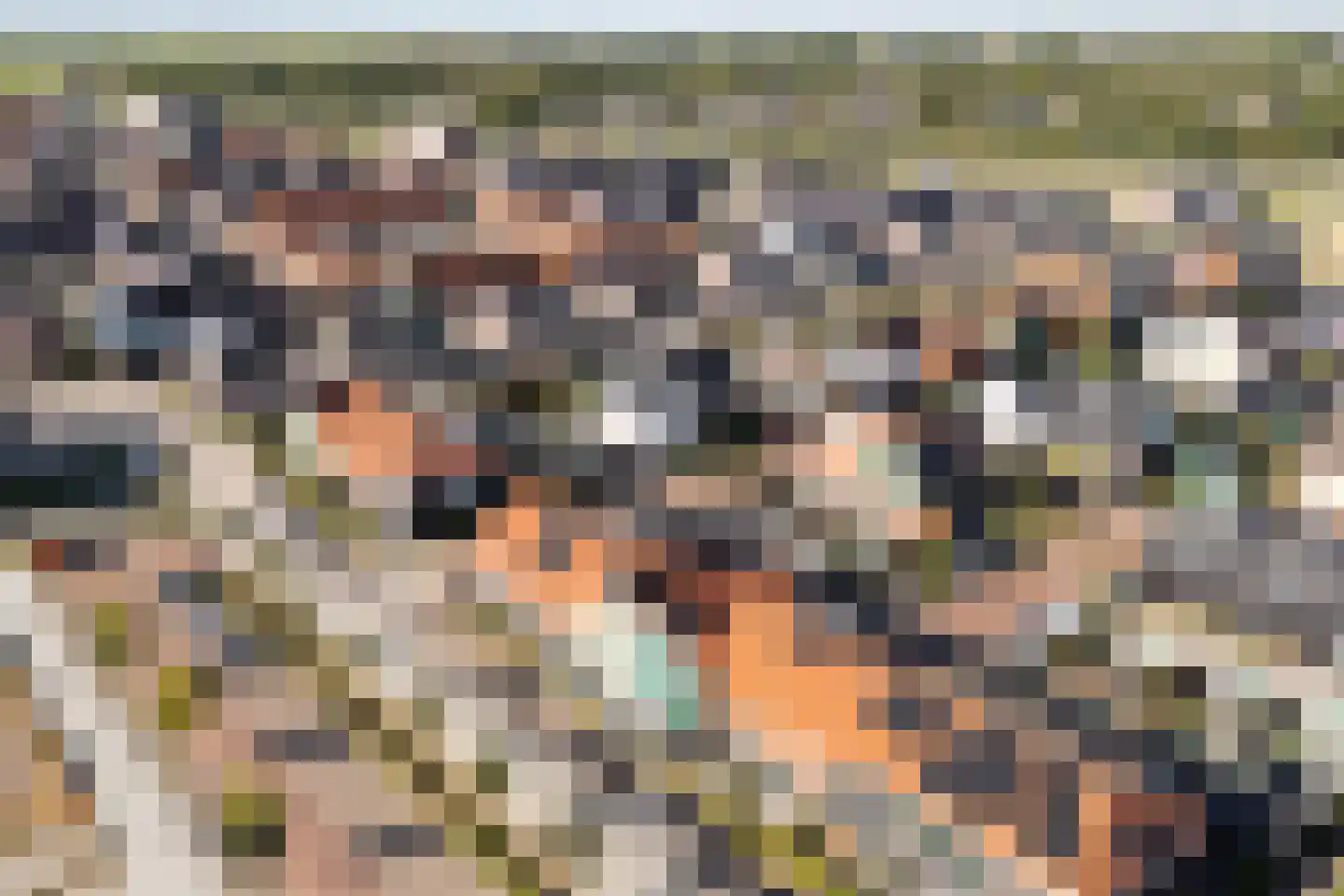 Beemdgras 48 Assendelft thumbnail 49