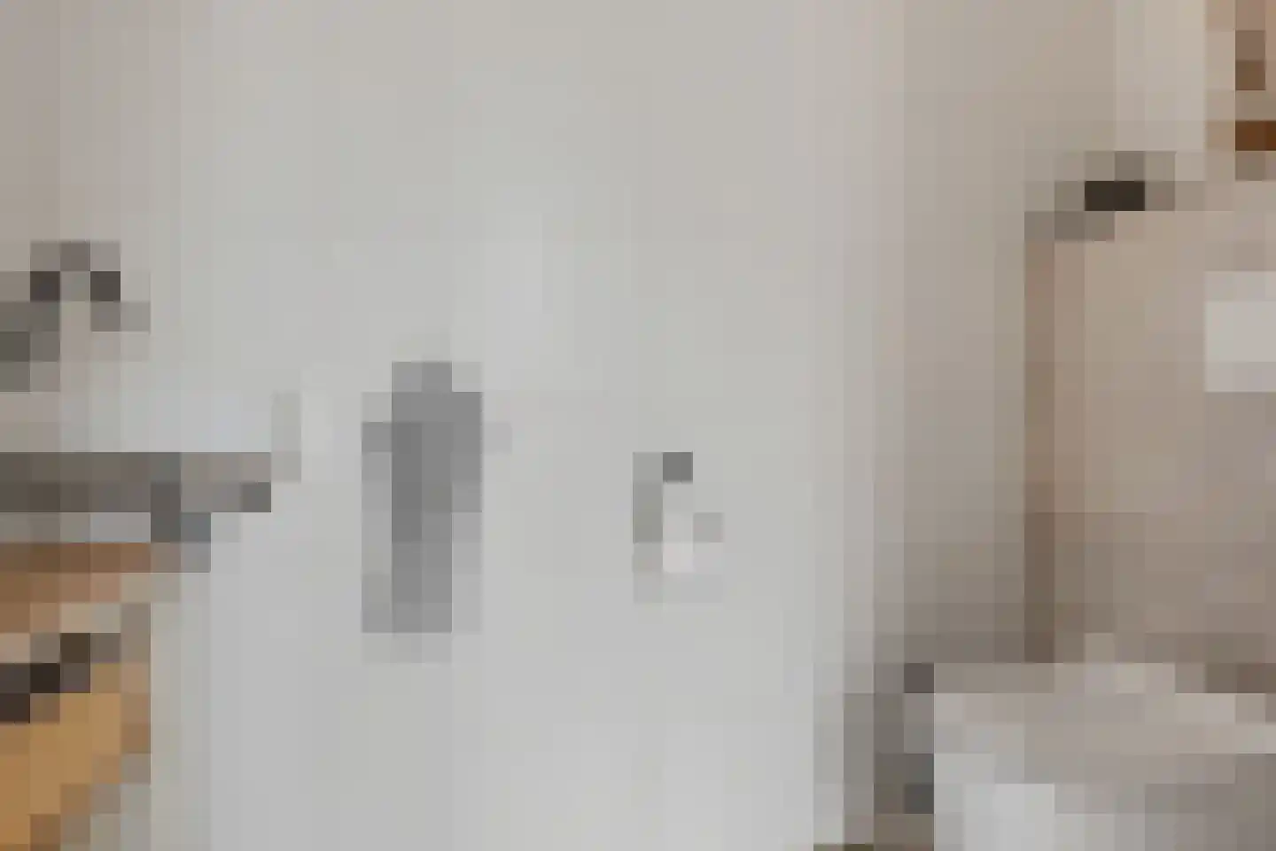 Beemdgras 48 Assendelft thumbnail 7