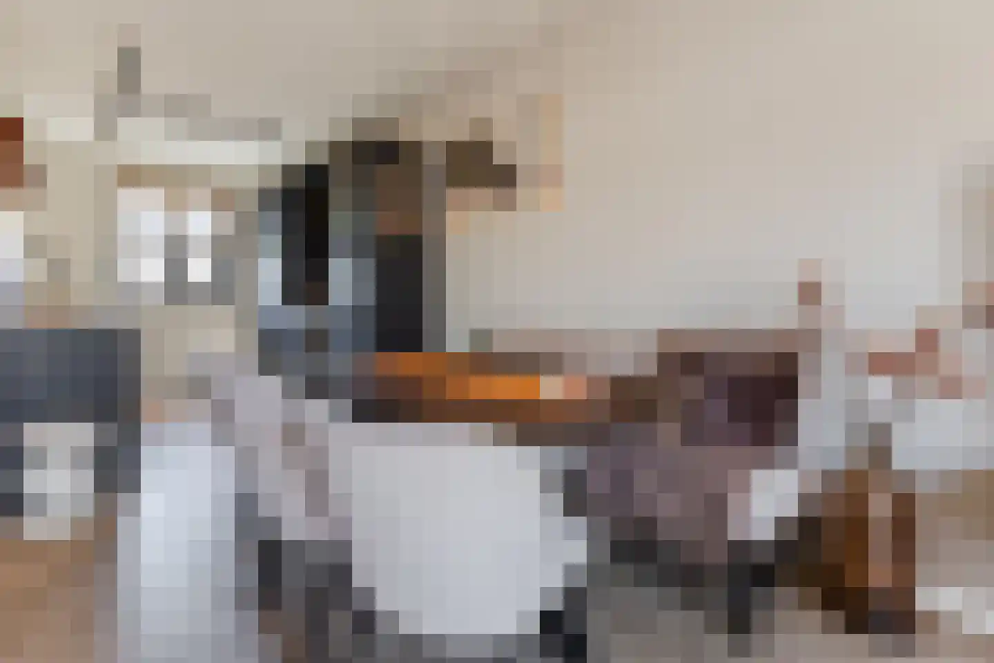 Beemdgras 82 Assendelft thumbnail 10