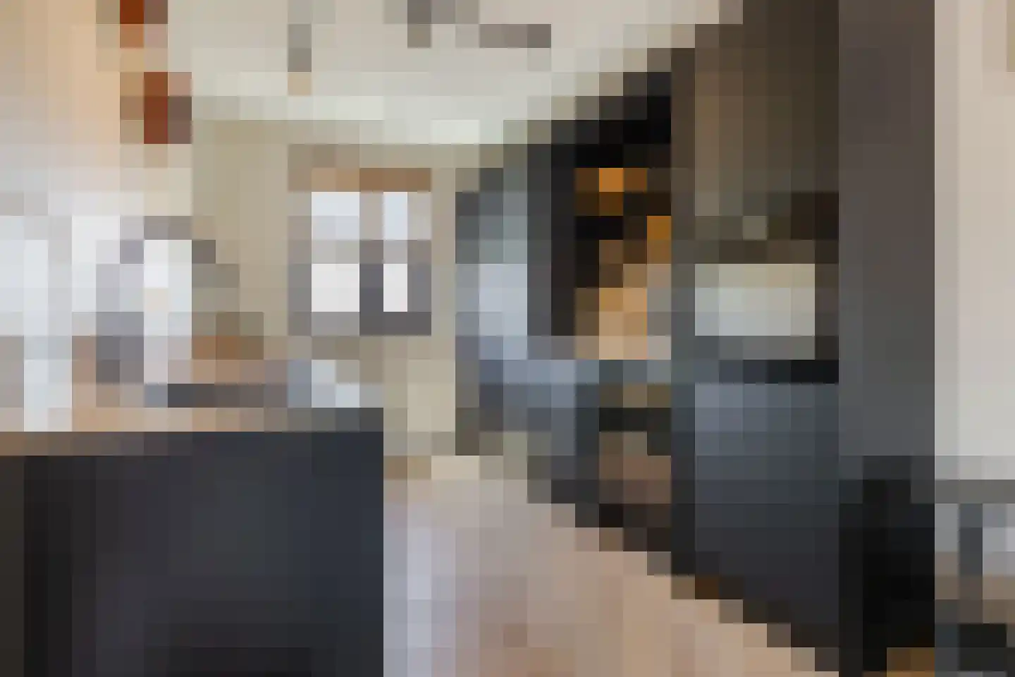 Beemdgras 82 Assendelft thumbnail 13