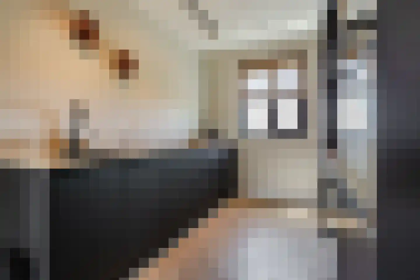 Beemdgras 82 Assendelft thumbnail 14