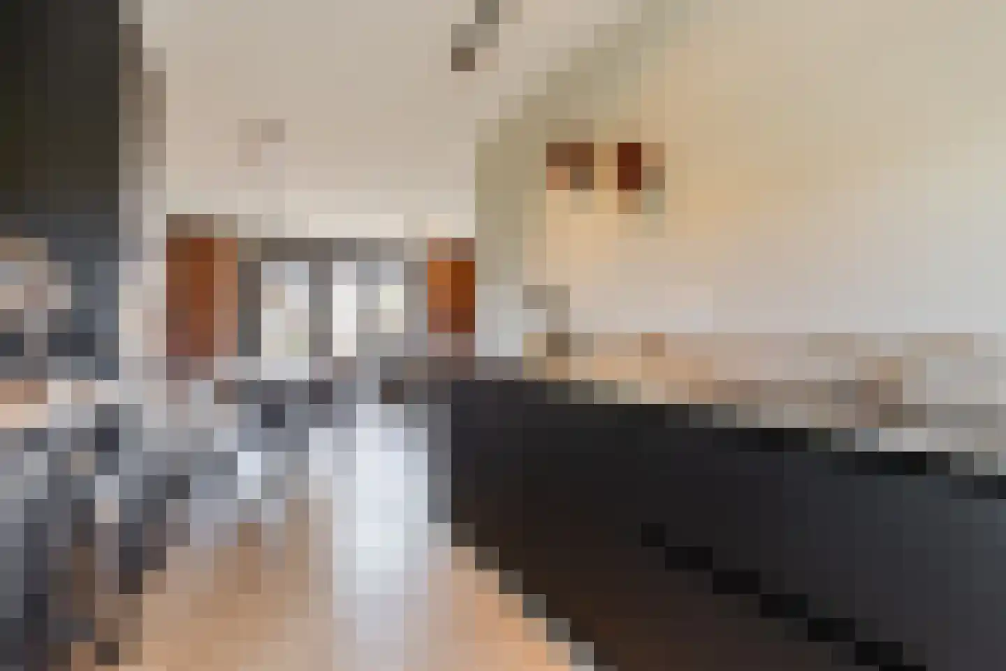 Beemdgras 82 Assendelft thumbnail 15