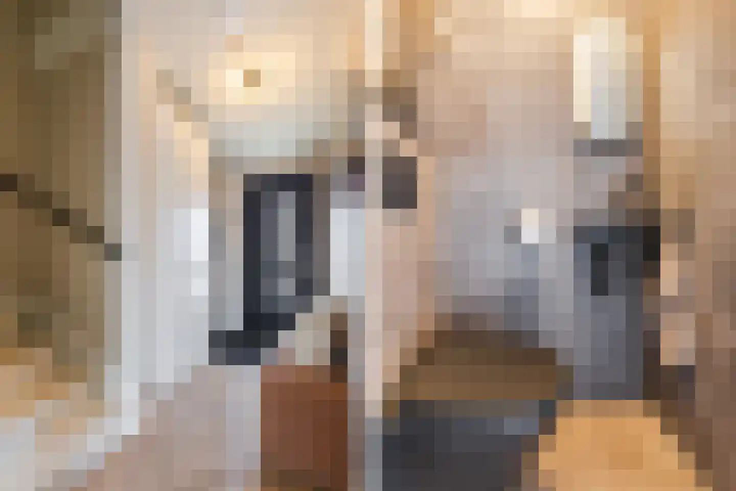 Beemdgras 82 Assendelft thumbnail 21