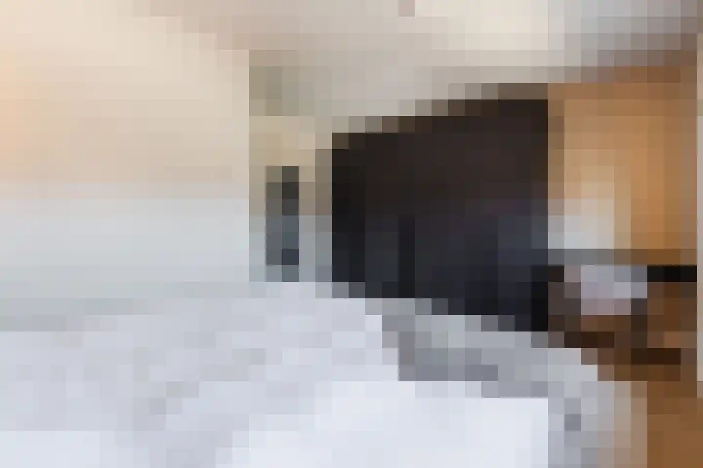 Beemdgras 82 Assendelft thumbnail 25
