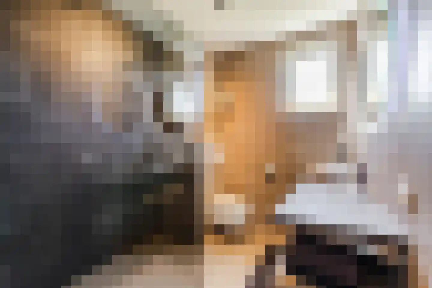Beemdgras 82 Assendelft thumbnail 29