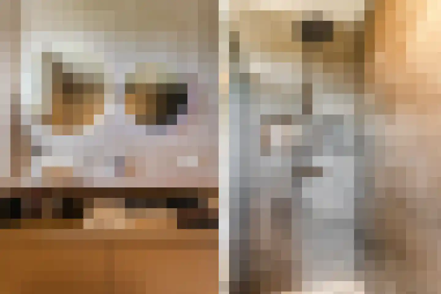 Beemdgras 82 Assendelft thumbnail 33