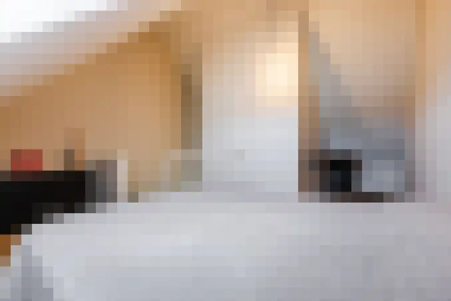 Beemdgras 82 Assendelft thumbnail 38