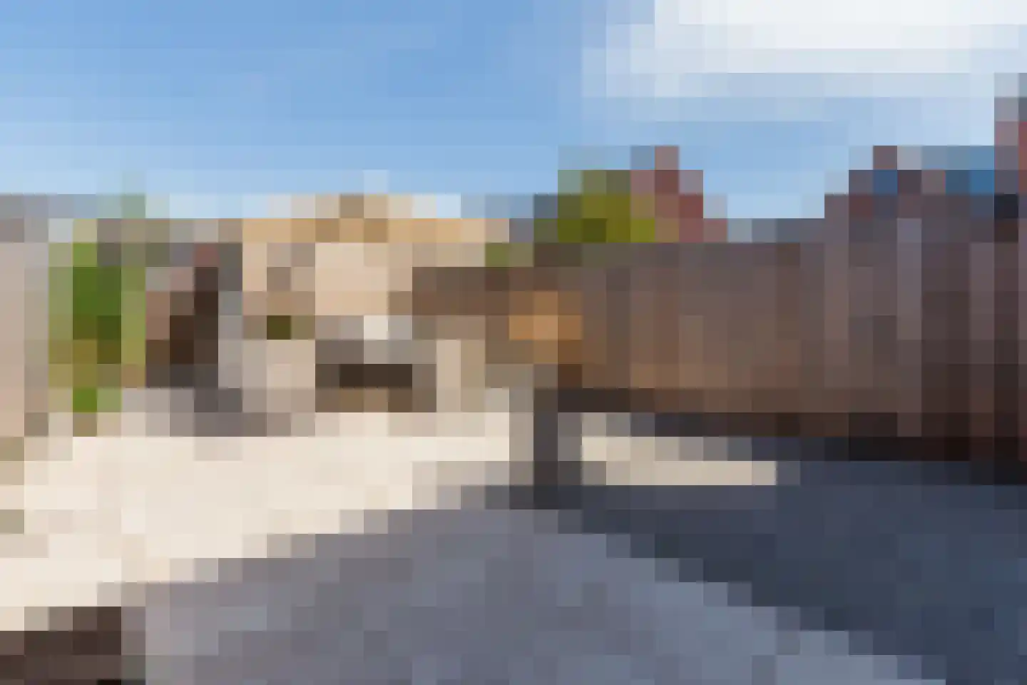 Beemdgras 82 Assendelft thumbnail 44