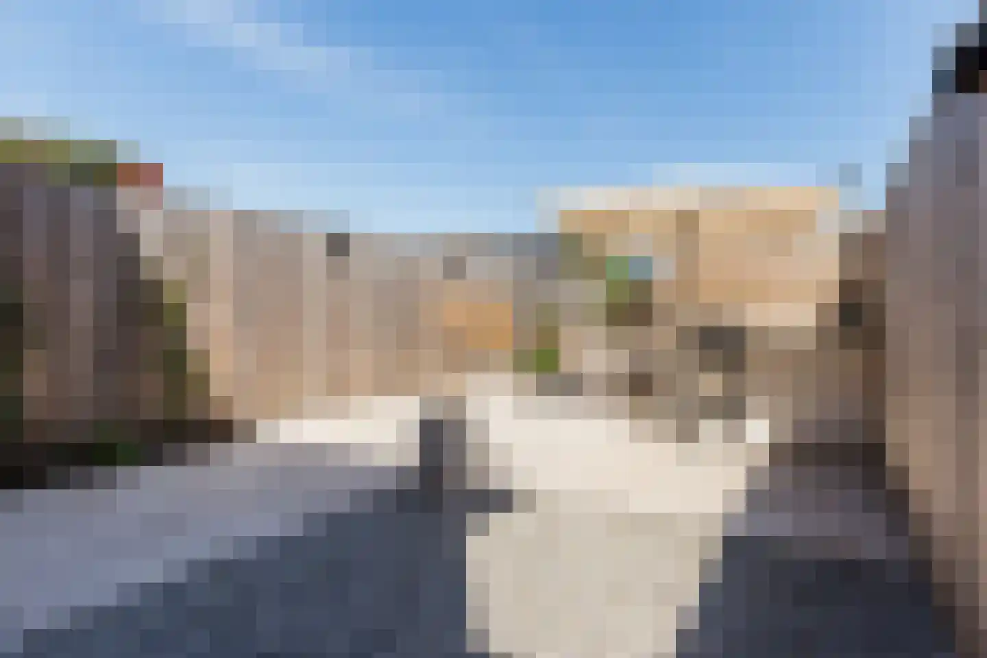 Beemdgras 82 Assendelft thumbnail 45