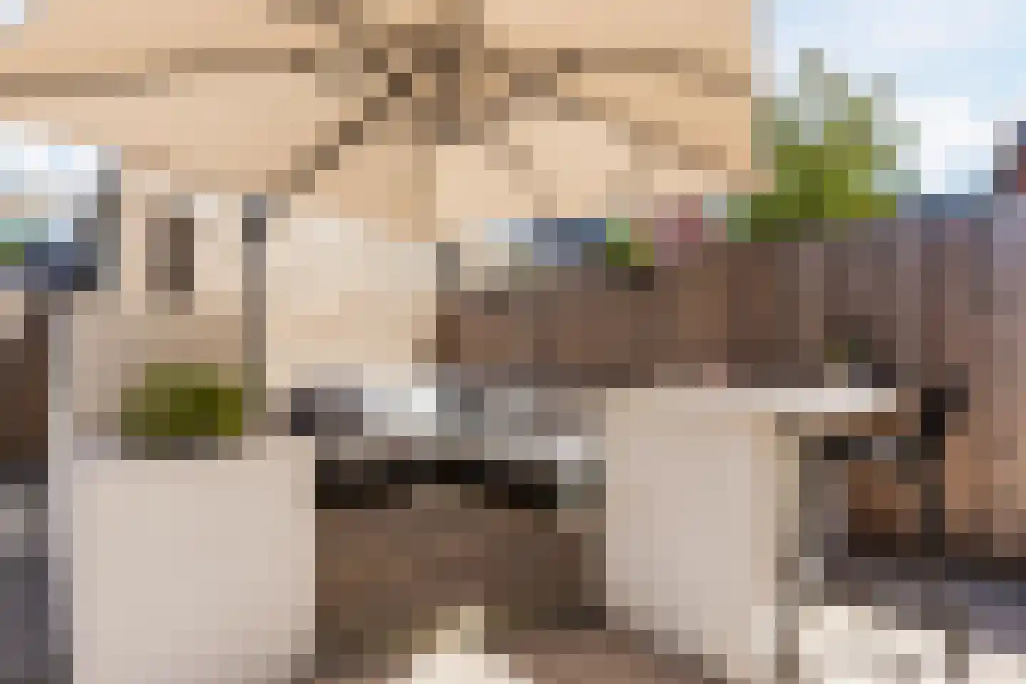 Beemdgras 82 Assendelft thumbnail 46