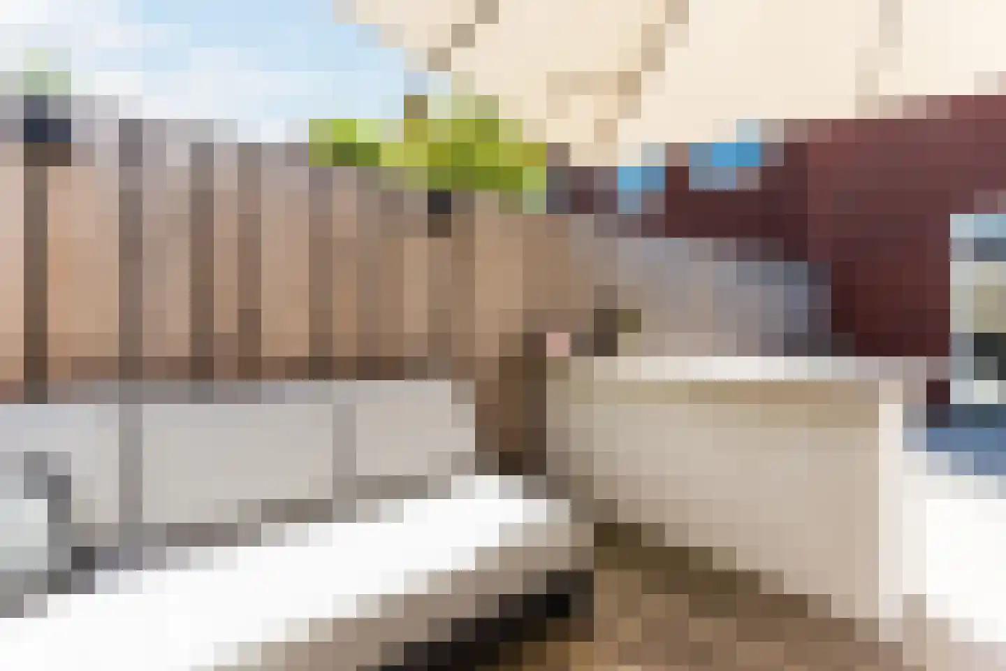 Beemdgras 82 Assendelft thumbnail 47