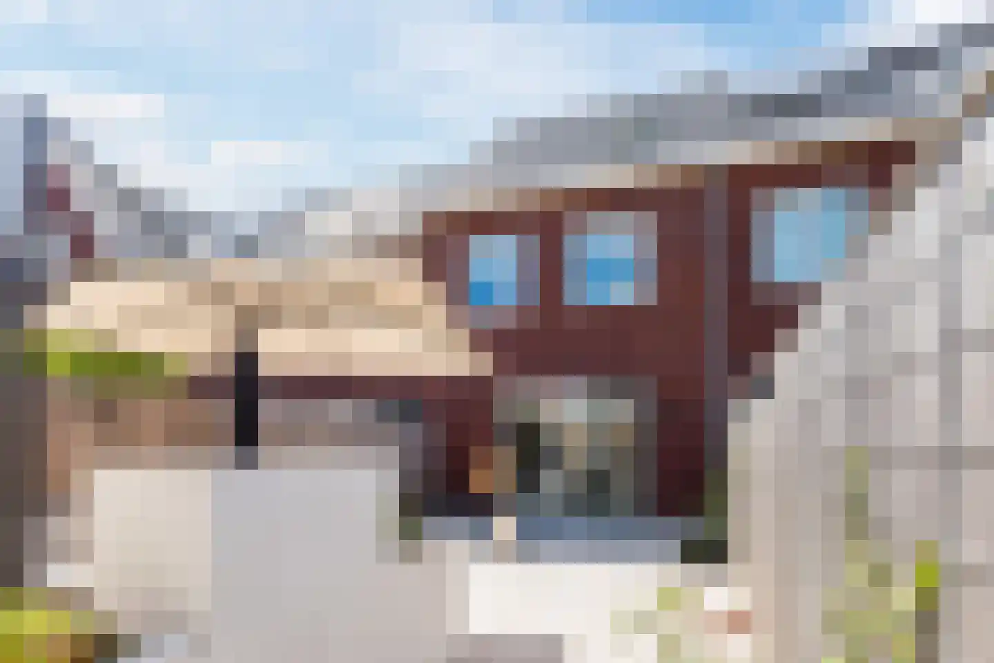 Beemdgras 82 Assendelft thumbnail 48