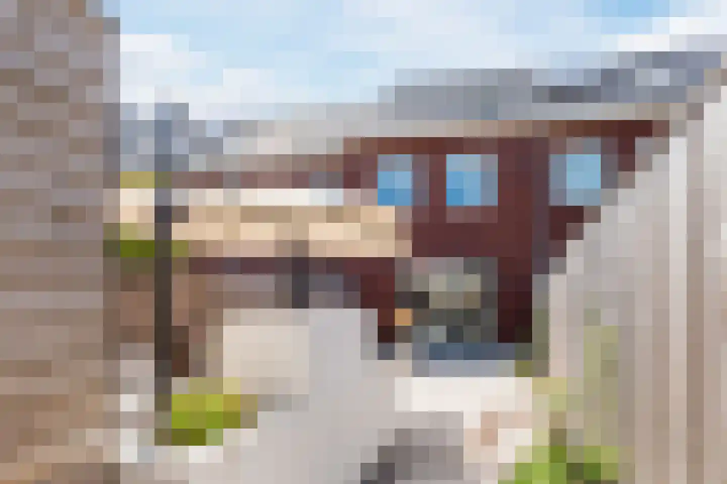 Beemdgras 82 Assendelft thumbnail 49