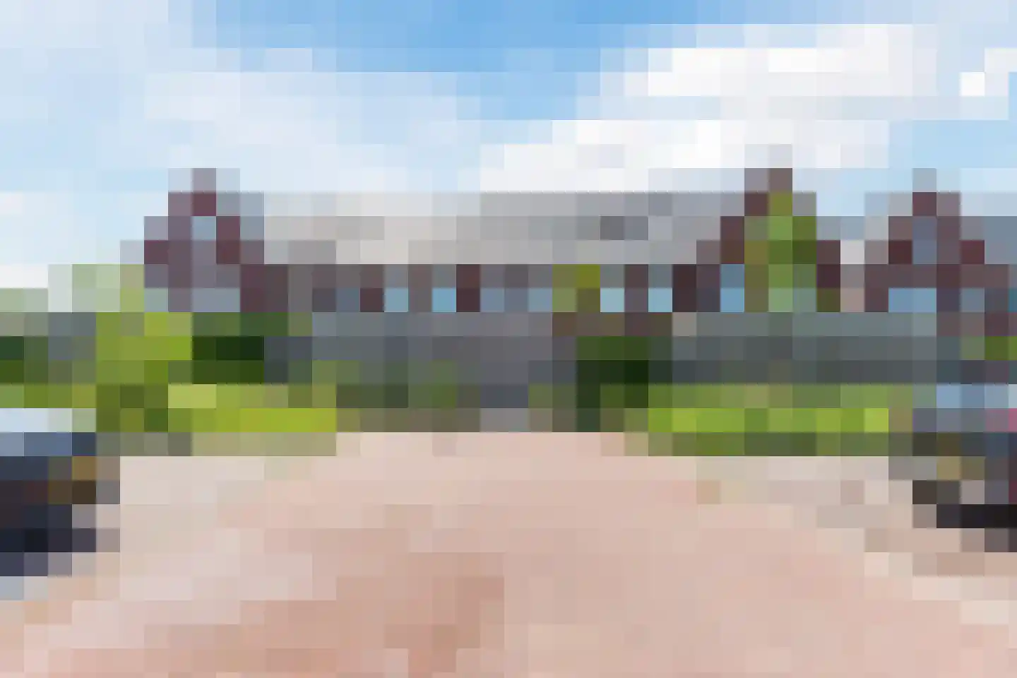 Beemdgras 82 Assendelft thumbnail 51