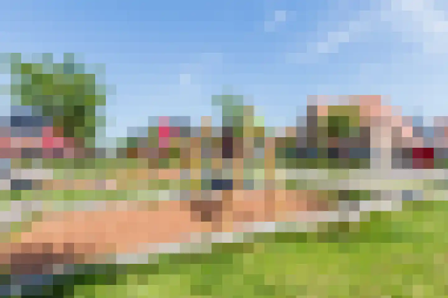 Beemdgras 82 Assendelft thumbnail 55