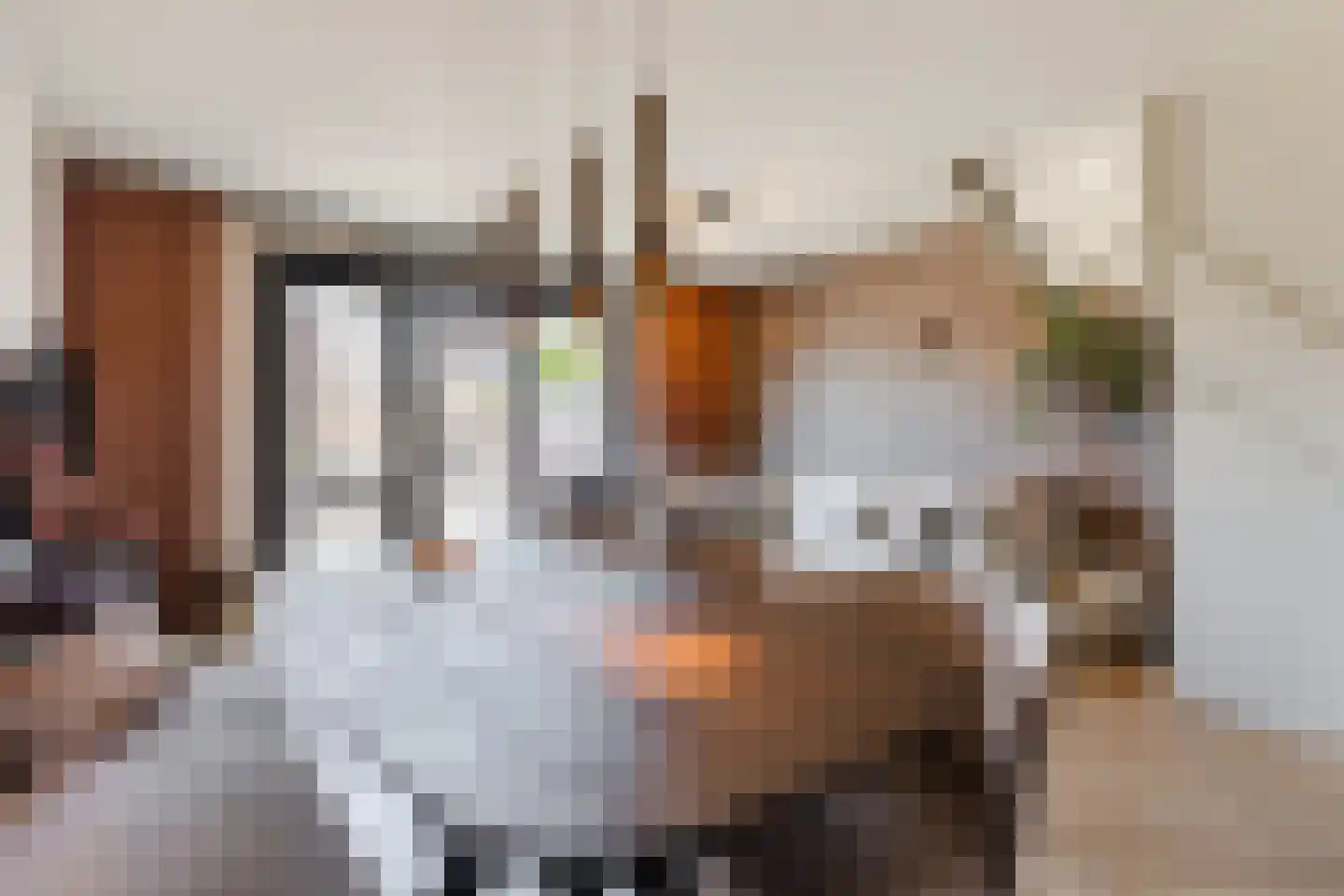 Beemdgras 82 Assendelft thumbnail 6