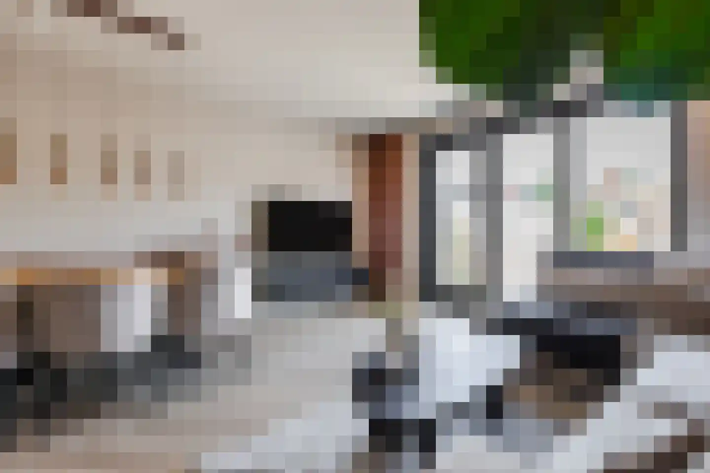 Beemdgras 82 Assendelft thumbnail 7