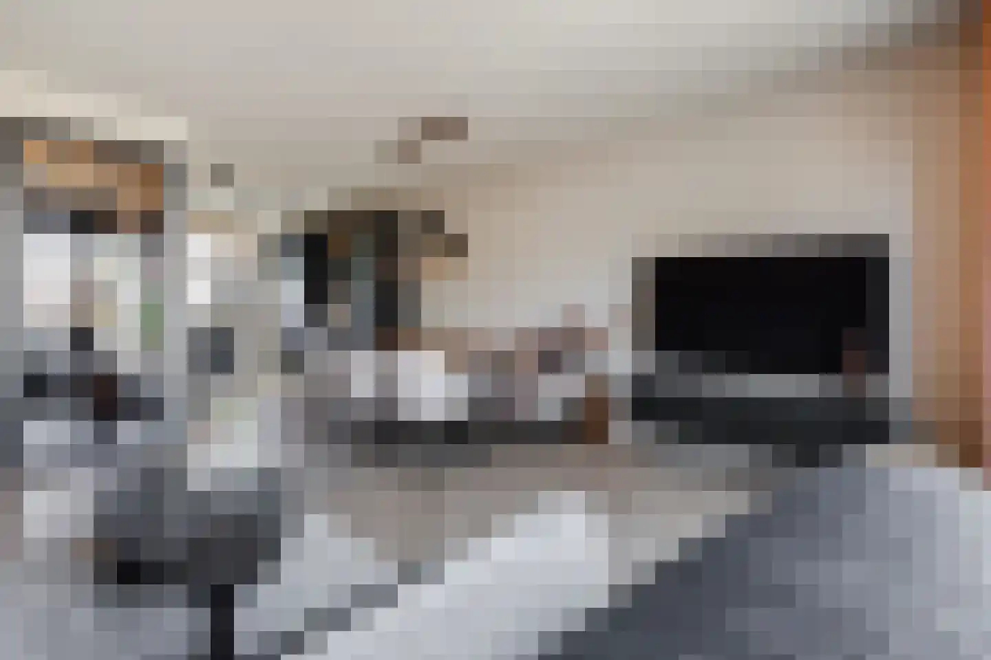 Beemdgras 82 Assendelft thumbnail 8