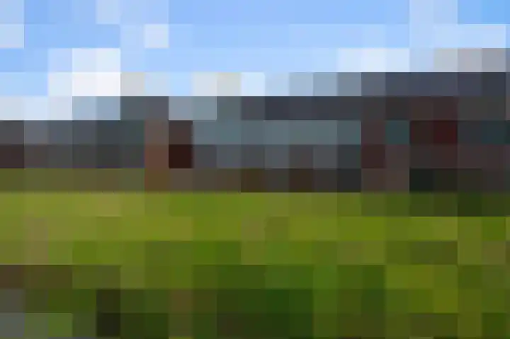 Beemdgras 84 Assendelft