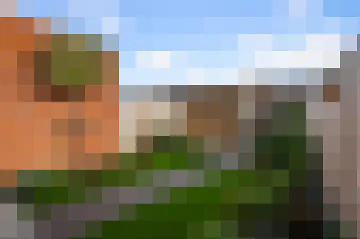 Beemdgras 84 Assendelft thumbnail 14
