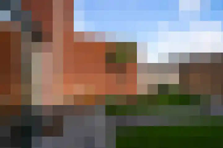 Beemdgras 84 Assendelft thumbnail 15