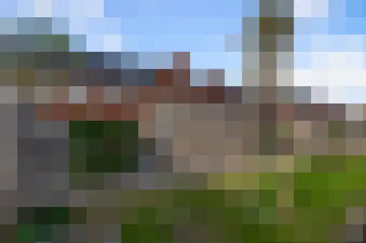 Beemdgras 84 Assendelft thumbnail 16