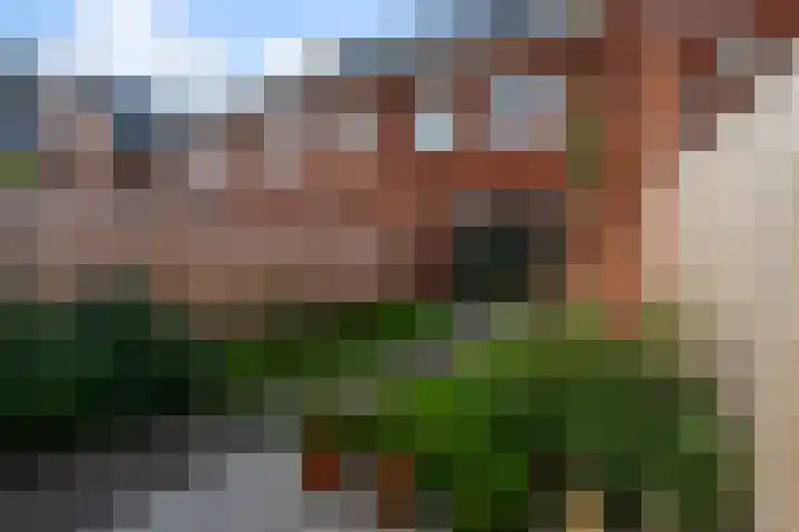 Beemdgras 84 Assendelft thumbnail 17