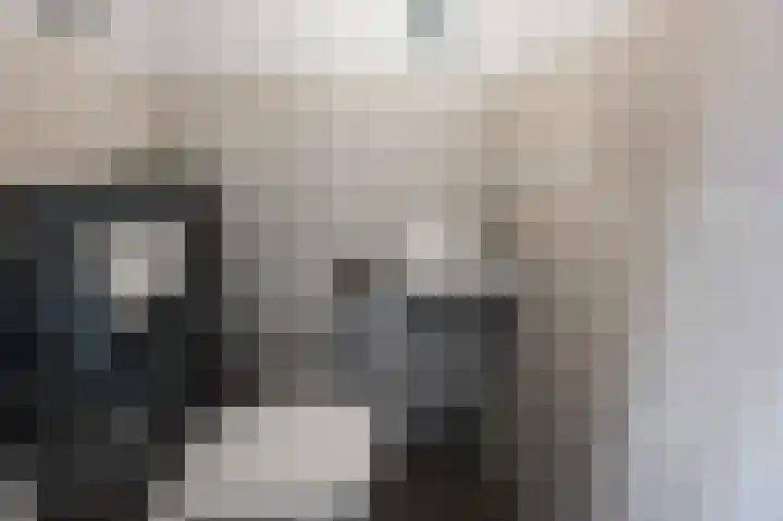 Beemdgras 84 Assendelft thumbnail 18