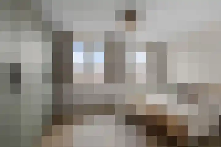 Beemdgras 84 Assendelft thumbnail 19