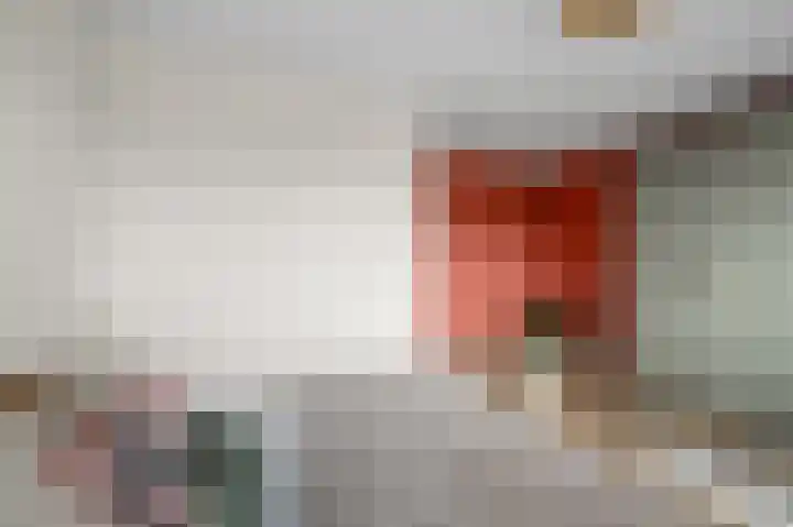 Beemdgras 84 Assendelft thumbnail 22