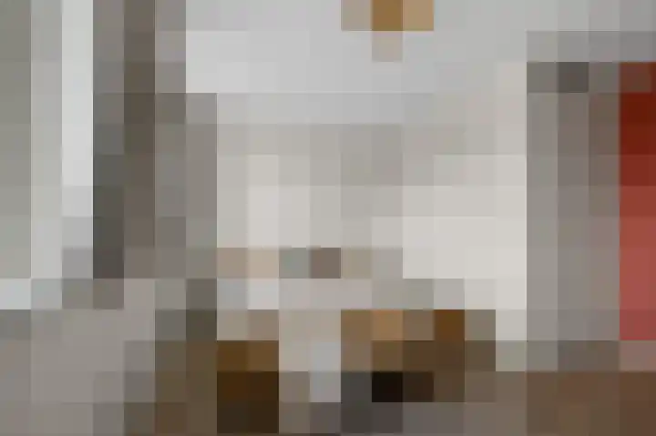 Beemdgras 84 Assendelft thumbnail 23