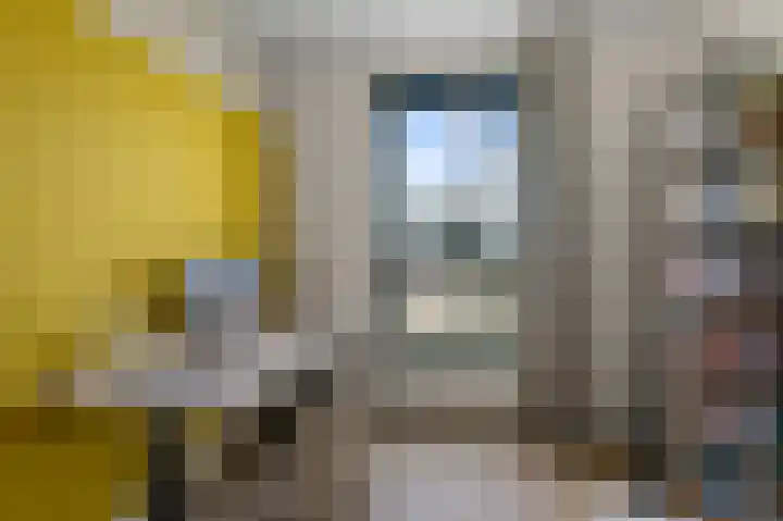Beemdgras 84 Assendelft thumbnail 24