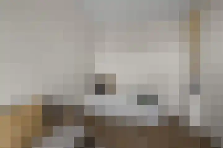 Beemdgras 84 Assendelft thumbnail 26