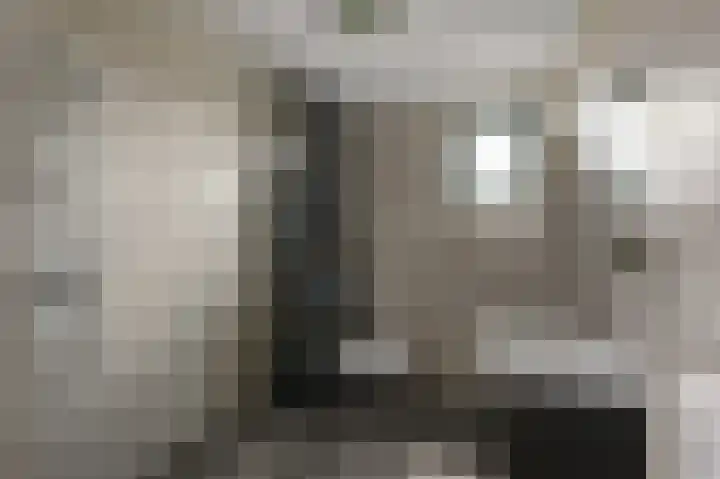 Beemdgras 84 Assendelft thumbnail 27