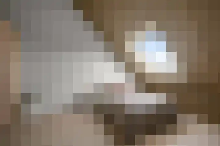 Beemdgras 84 Assendelft thumbnail 31