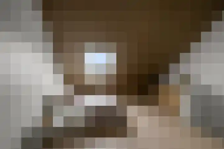 Beemdgras 84 Assendelft thumbnail 32