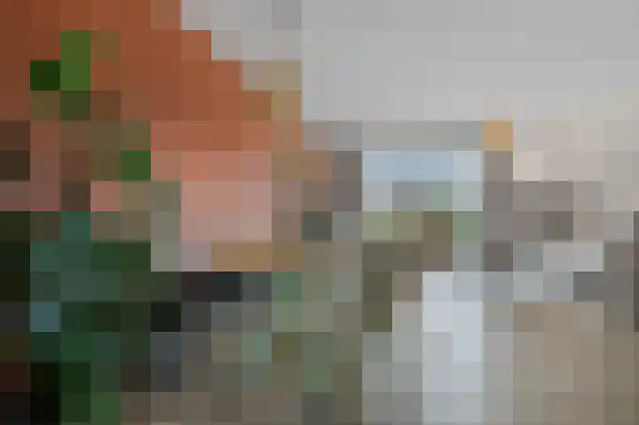 Beemdgras 84 Assendelft thumbnail 4