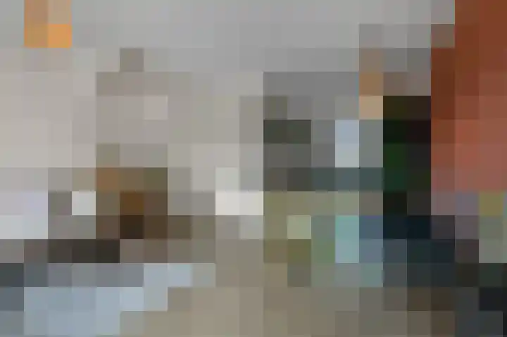 Beemdgras 84 Assendelft thumbnail 5
