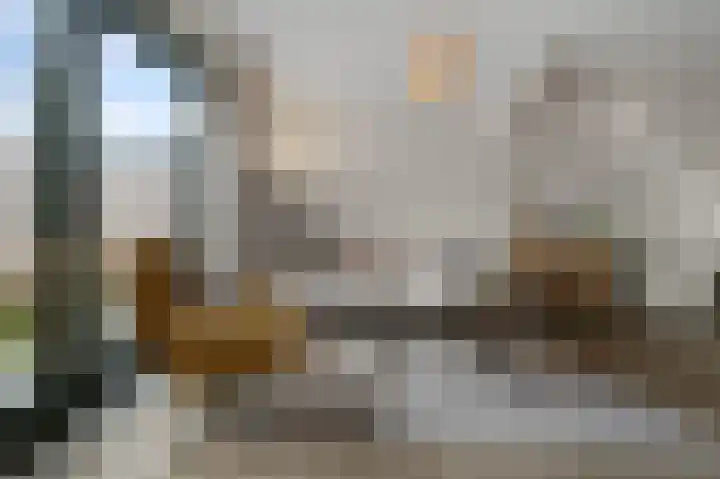 Beemdgras 84 Assendelft thumbnail 6
