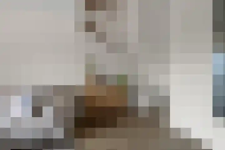 Beemdgras 84 Assendelft thumbnail 7