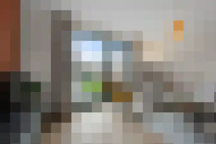 Beemdgras 84 Assendelft thumbnail 8