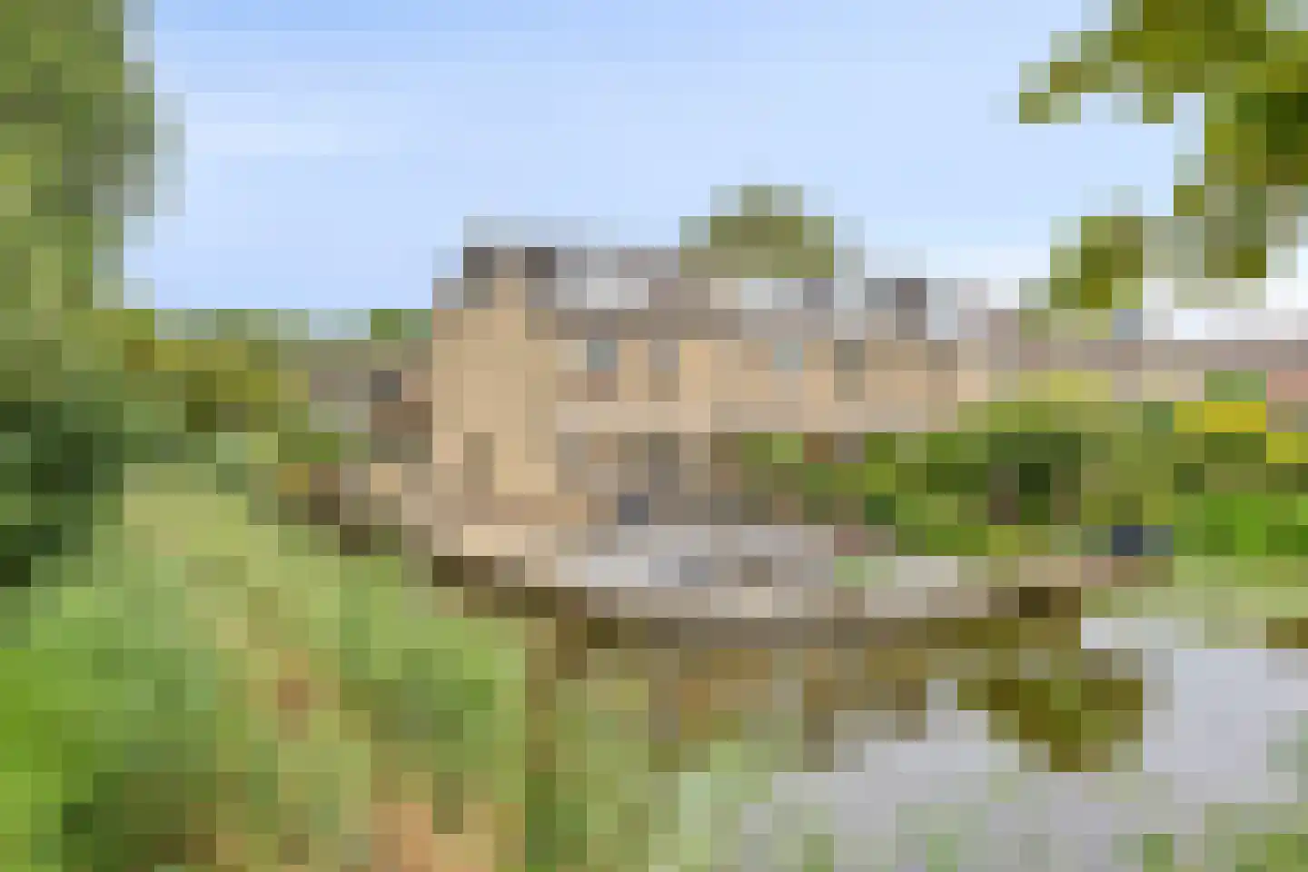 Beemdgras 96 in Gouda