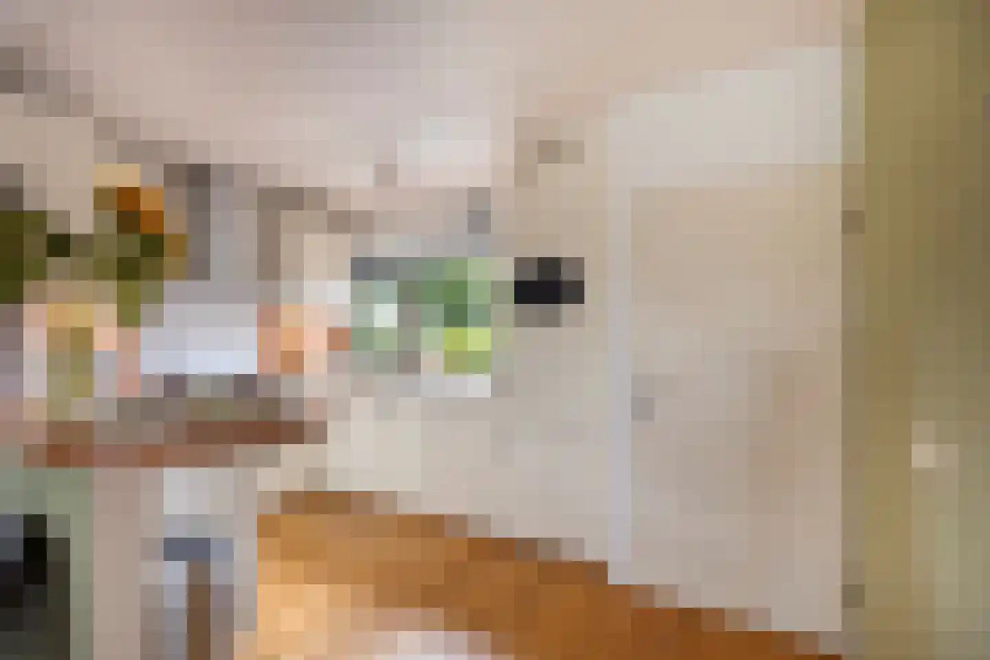 Beemdgras 96 Gouda thumbnail 11