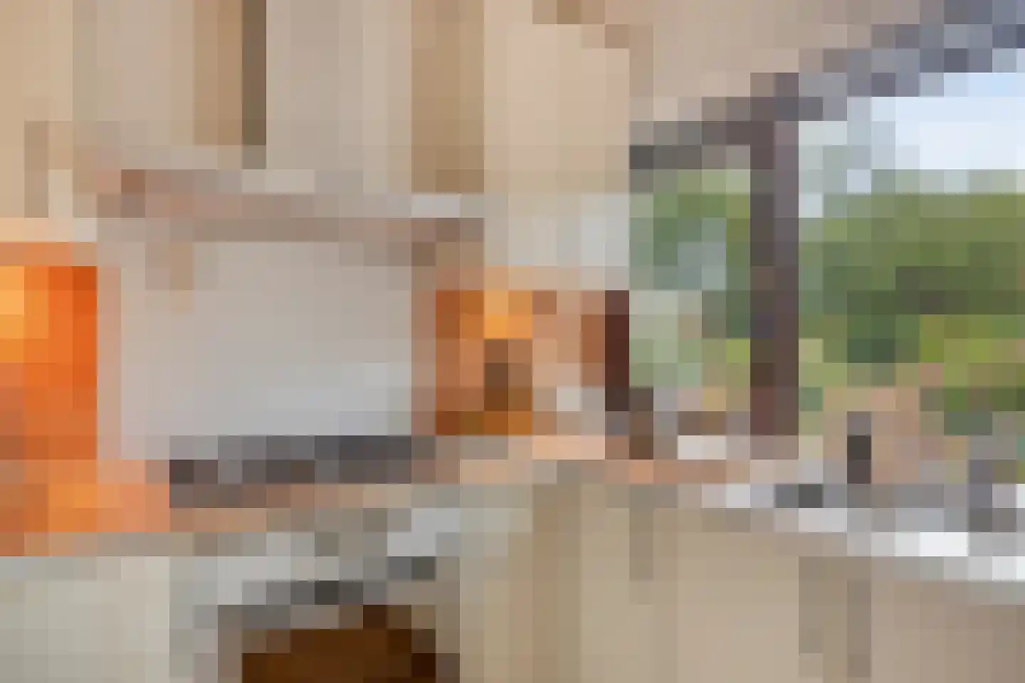 Beemdgras 96 Gouda thumbnail 13