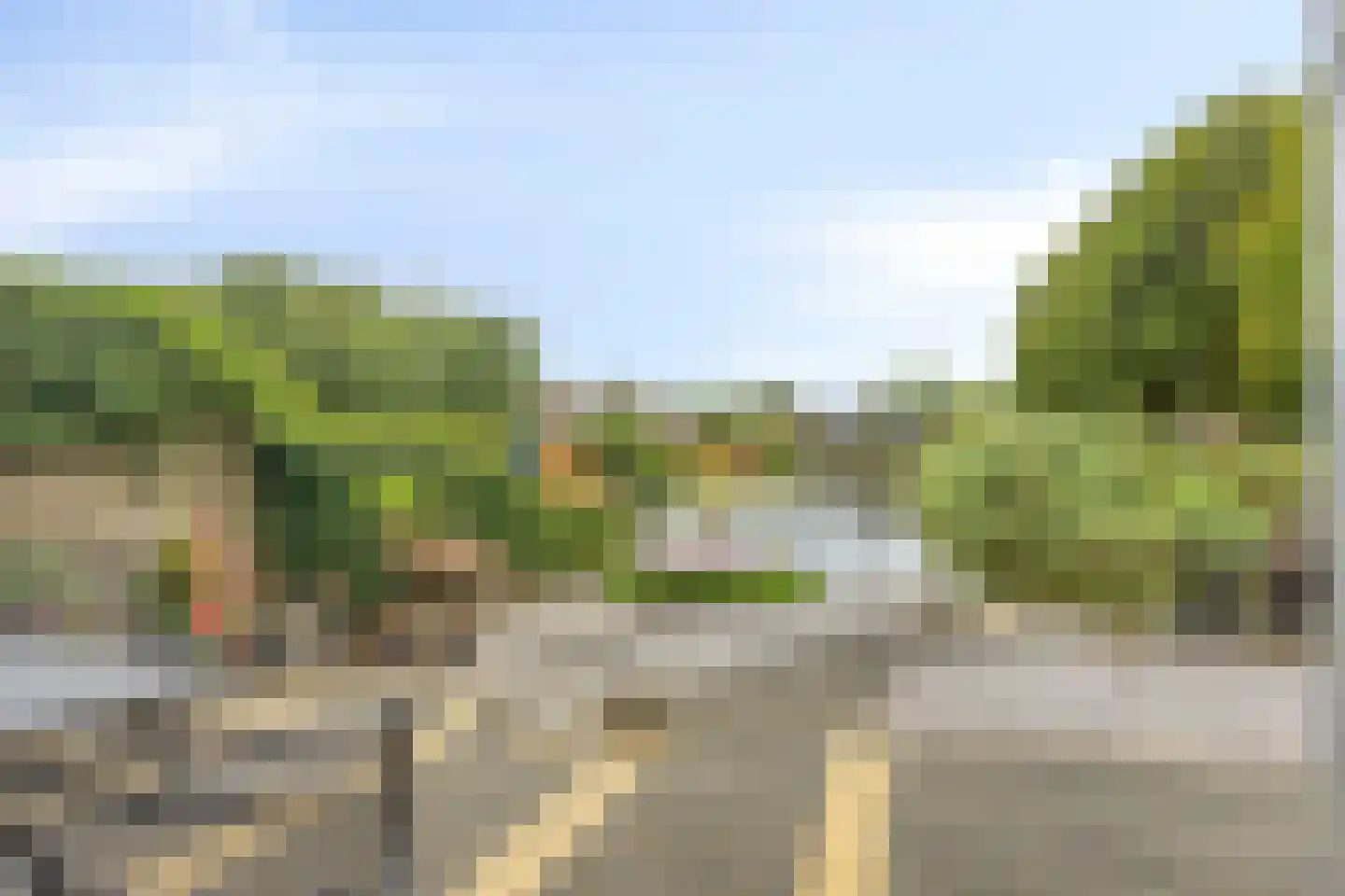 Beemdgras 96 Gouda thumbnail 15