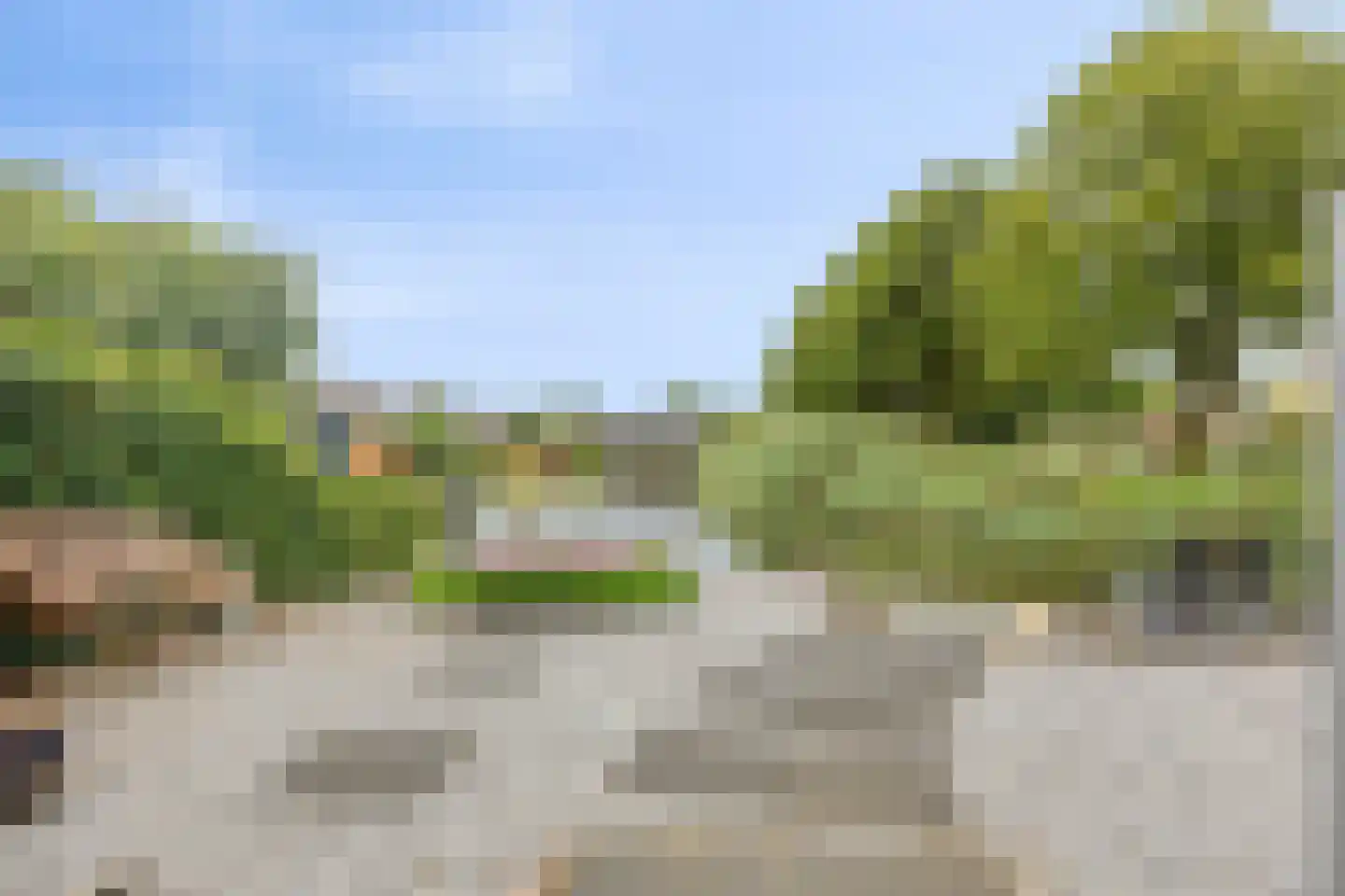 Beemdgras 96 Gouda thumbnail 17